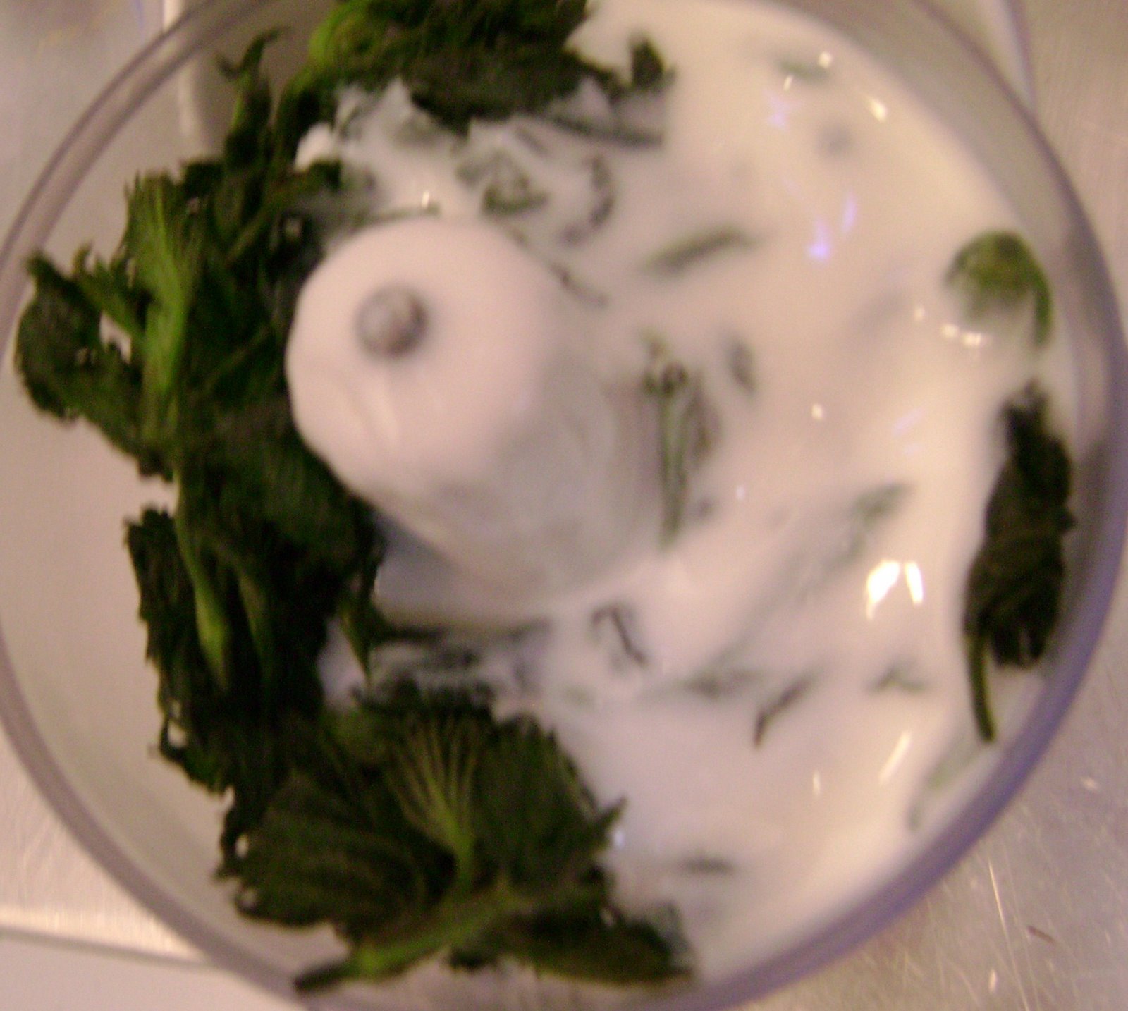[Nettles+and+buttermilk.JPG]