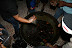 IMG_9207-1.jpg