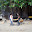SDC12097.JPG