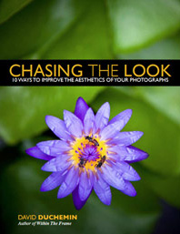 Craft-and-Vision-e-kniha-chasing-the-look e-book-pdf-craft-and-vision-fotografovani-chasing-look