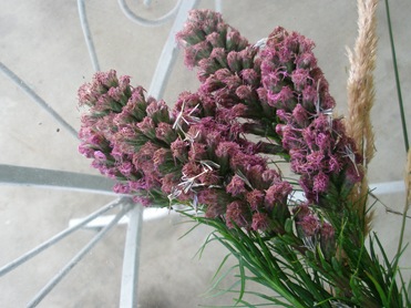 [flowers0083.jpg]