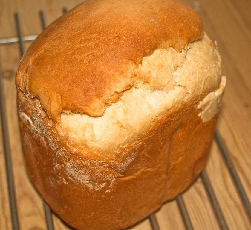[bread-1[4].jpg]