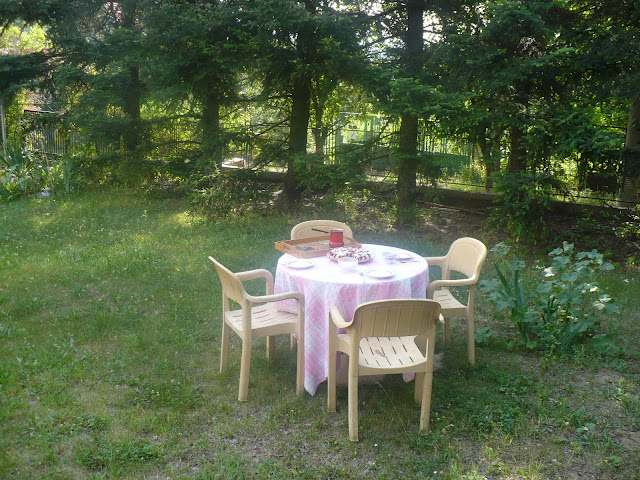 P1020771.JPG