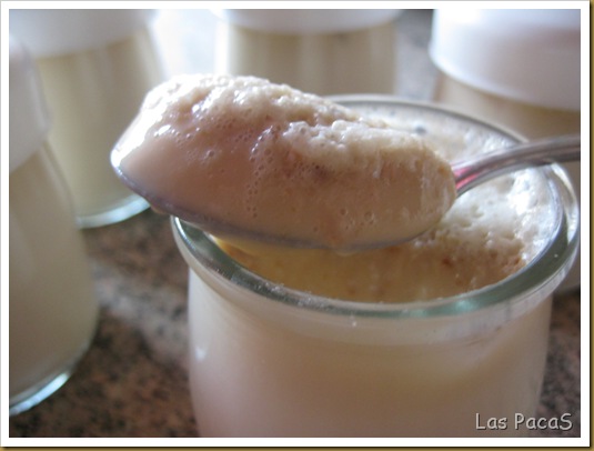 yogur de turrón en yogurtera (2)