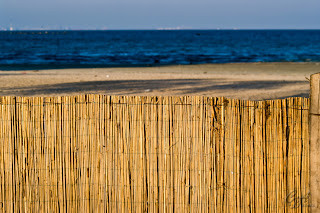 Reed fence by the seashore