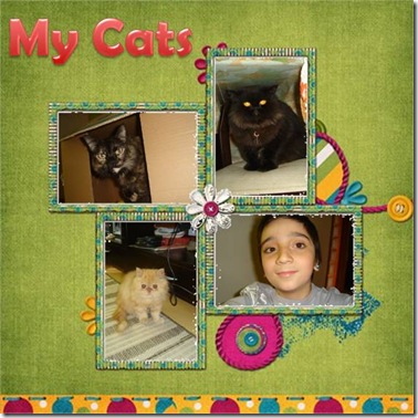 my cats