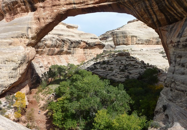 [Natural Bridges Nat'l Monument Sipapu Bridge 6[4].jpg]