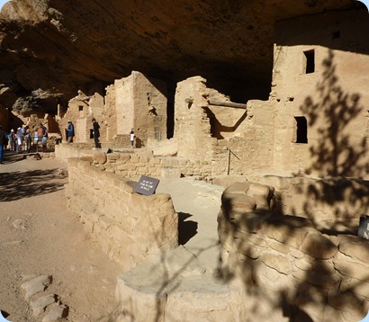 Mesa Verde Spruce Tree House