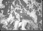 DSCN0035