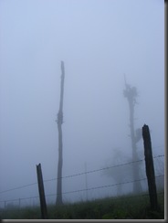 2010_0721camino0003