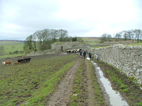 In The Mire Photo