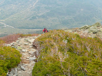 Mt Washington- Tuckerman Ravine Trail 1875.JPG
