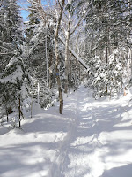 Hurricane Mt- sentier 3614.JPG Photo