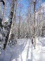 Hurricane Mt- sentier 3618.JPG