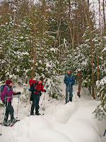 Mt Giant, Roaring Brook- raquetteurs 3640.JPG Photo