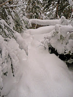 Mt Giant, Roaring Brook 3642.JPG Photo