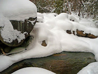 Mt Giant, Roaring Brook 3641.JPG Photo