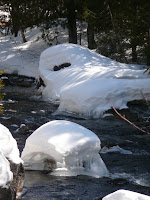 Lake Colden 3721.JPG Photo