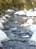 Lake Colden 3722.JPG Photo