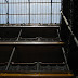 Skylight and railings