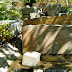 Rocky stream