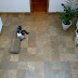 Above West Pavilion atrium