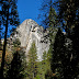 Mountain through trees