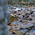 Tenaya Creek along the Mirror Lake Trail