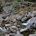 Merced River downstream from Vernal Falls