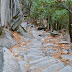 Path down from Vernal Falls
