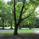 nature_2005_2