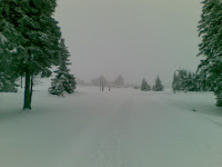 29012010(025).jpg Photo