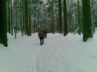 29012010(022).jpg Photo