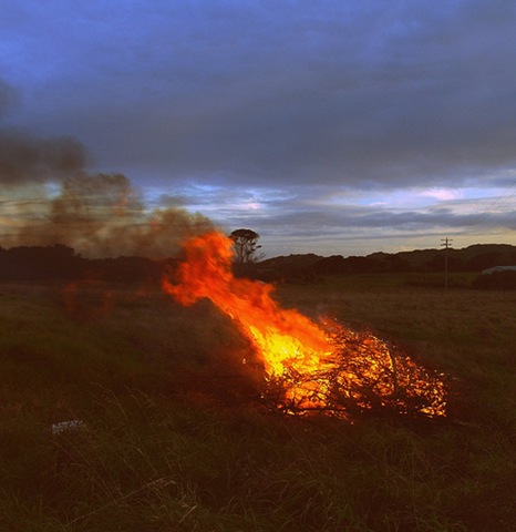 [bonfire[4].jpg]