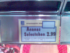 Bild(18).jpg