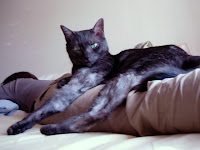 DSCN1366.JPG