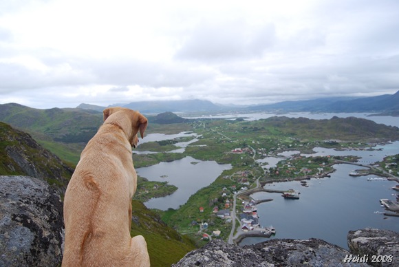 [Lofoten.06.08 (129)[8].jpg]