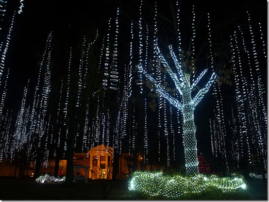 lights6