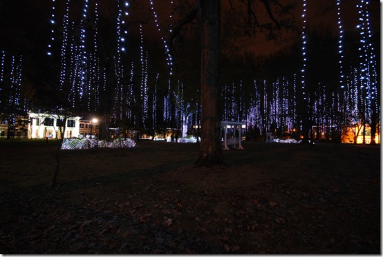 lights4