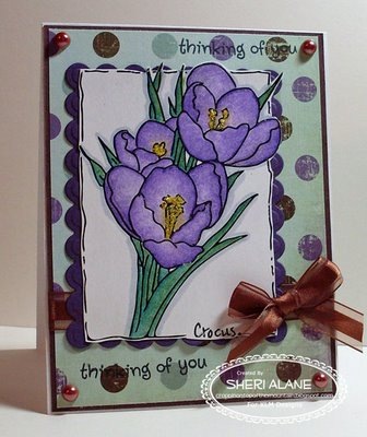 [Crocus[3].jpg]