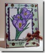 Crocus