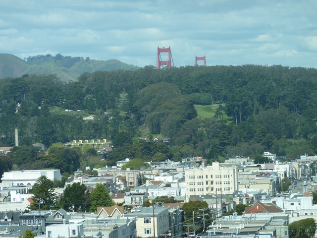[P1000869[2].jpg]
