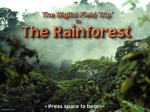 [rainforest.png]