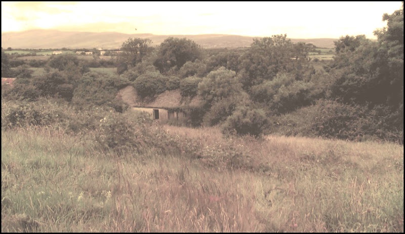 family homestead