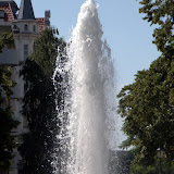 DSC_2365.jpg
