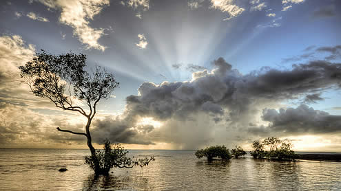 HDR Image collections