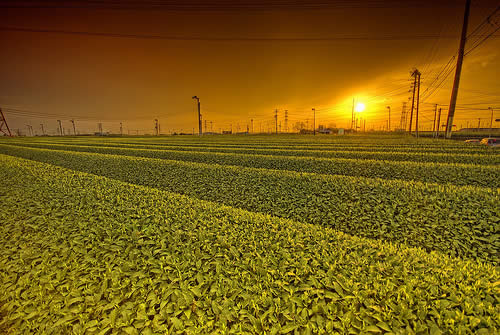 HDR photography collection
