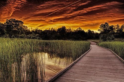 HDR image collection