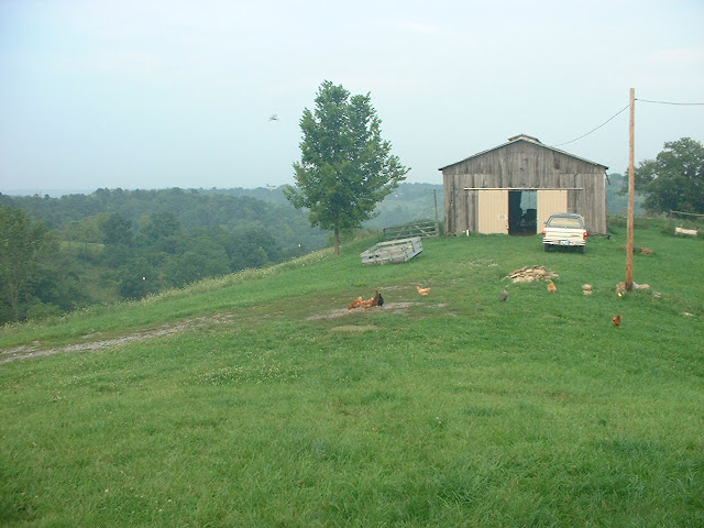 DSCF0831.JPG
