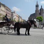 Opole Visit - May 2010
